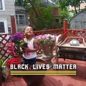 Meet your Posher, Troy